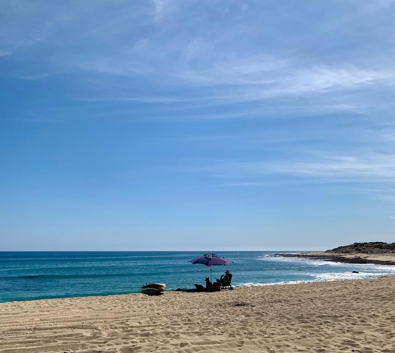 Surf Lesson 1.5 hours — photo 5